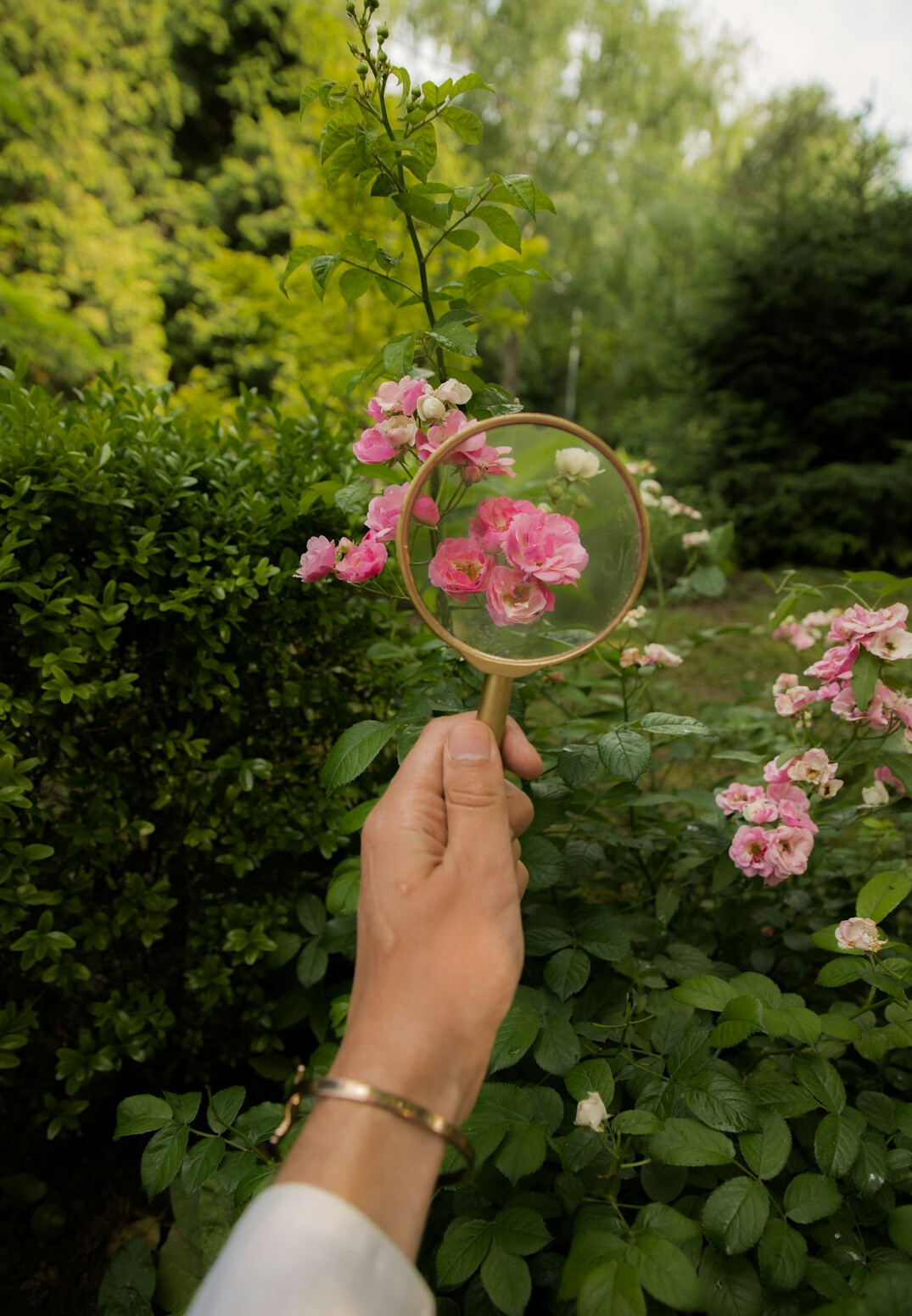 detective magnifying glass